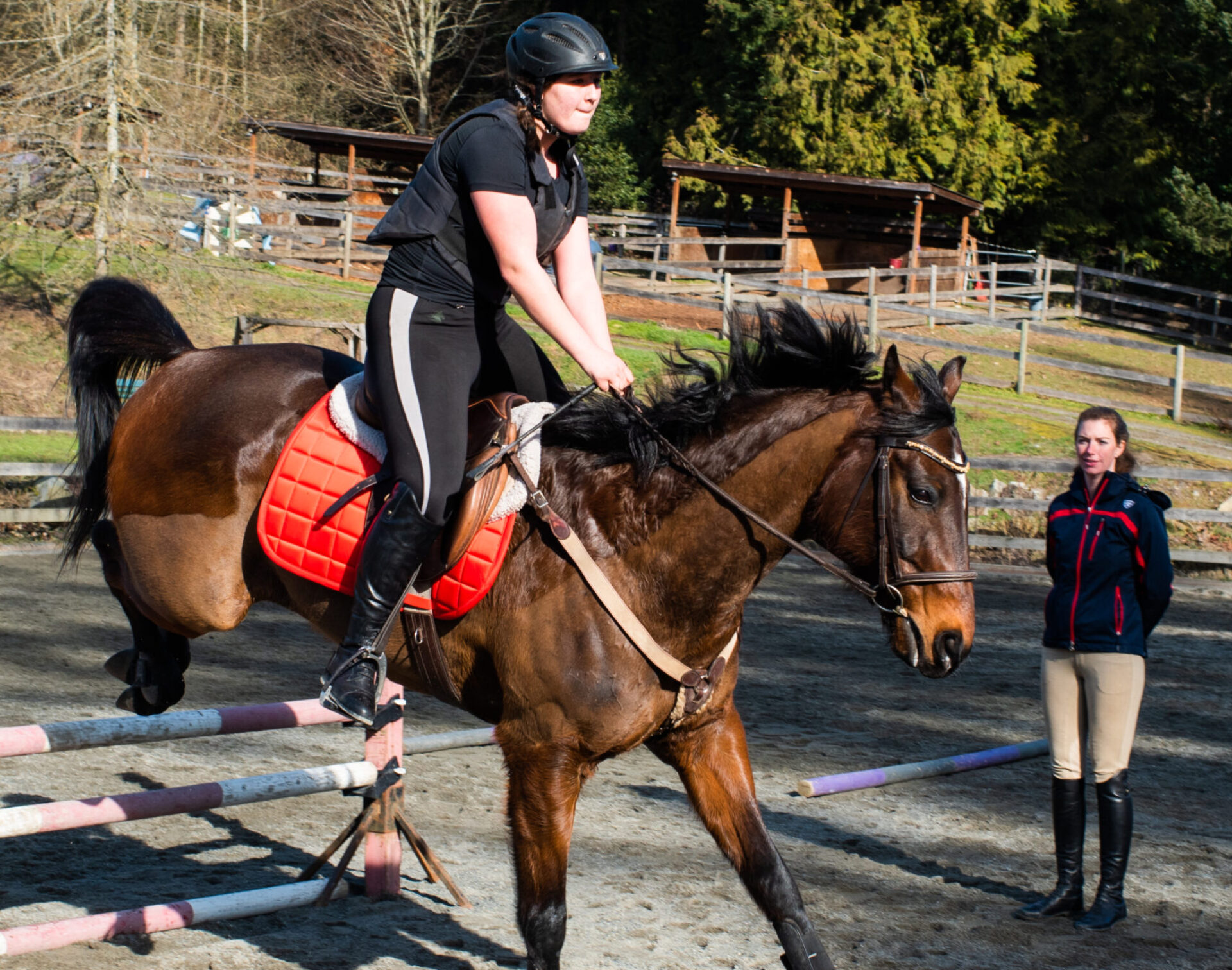LW Equestrian